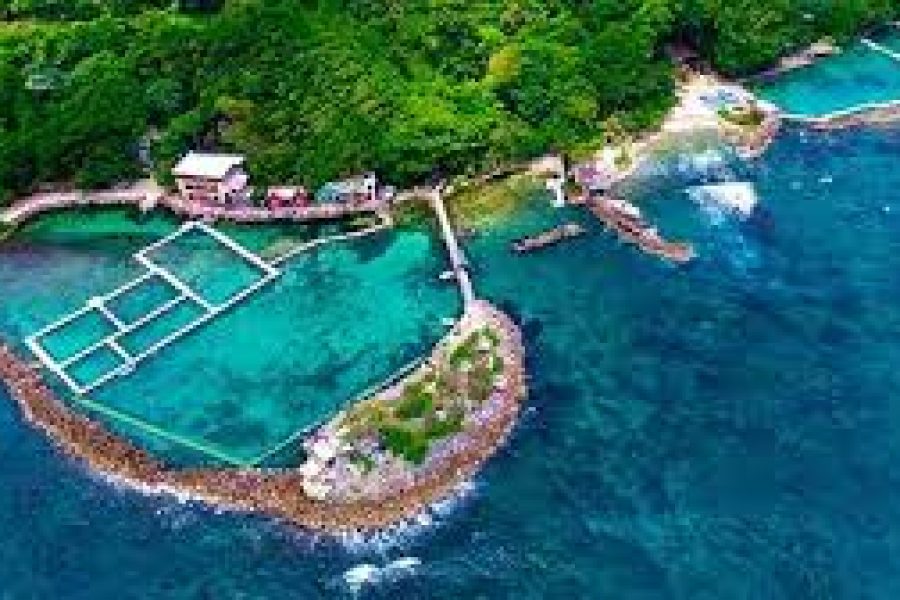 Dolphin Cove